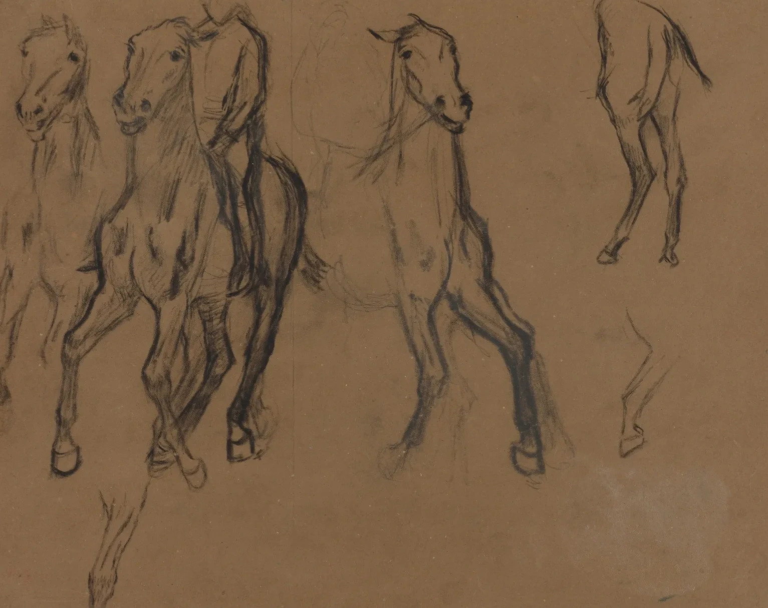 Study of Horses, Edgar Degas