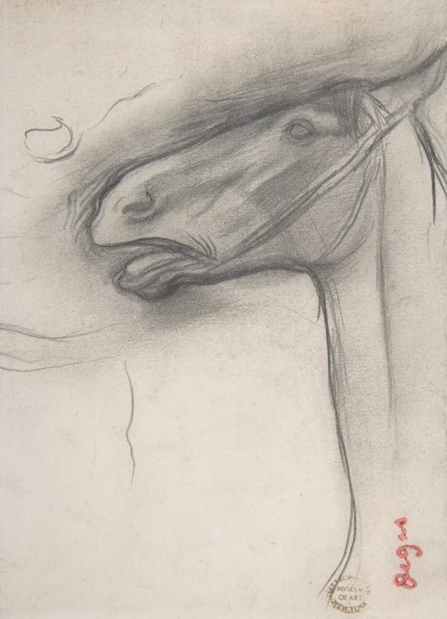 馬の頭