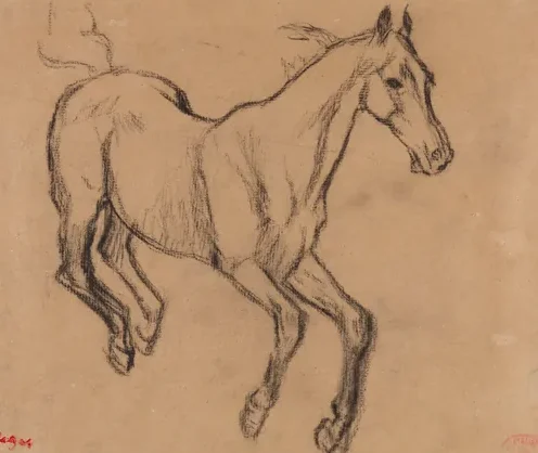 Horse Gallopping