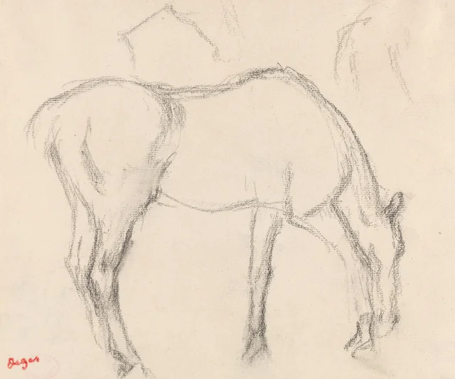 草をはむ馬