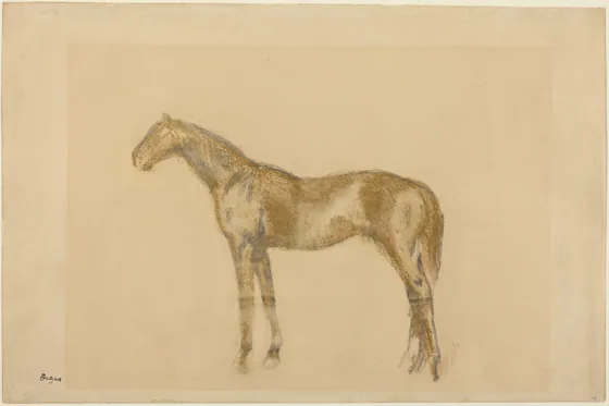 Horse