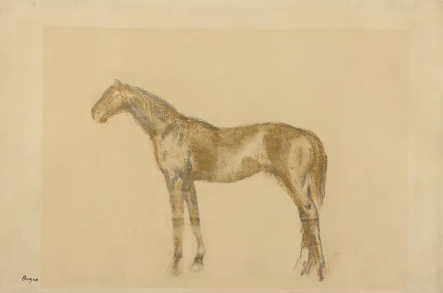 馬