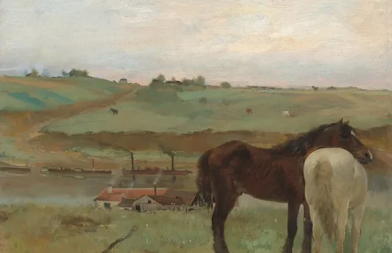 Horses in a Meadow