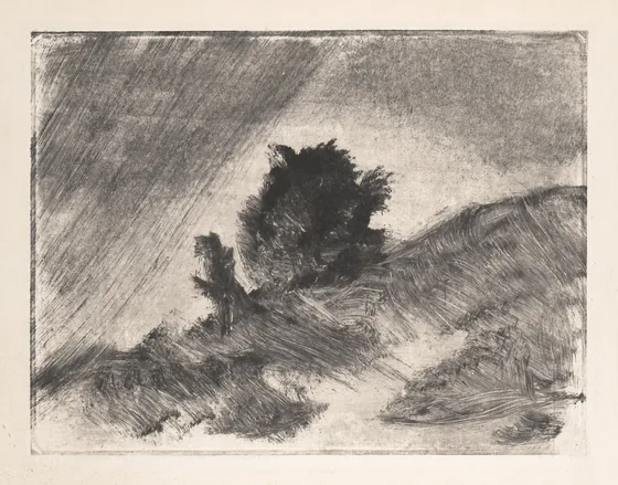 Landscape