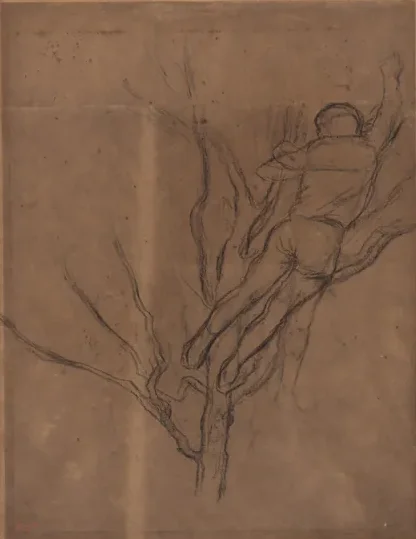 Man Pruning a Tree