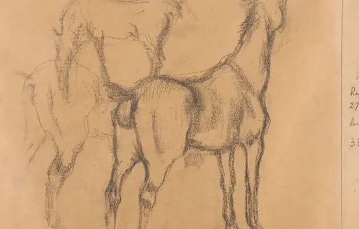 Studies of horses