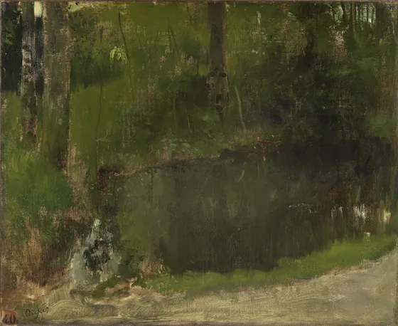 The Pond in the Forest