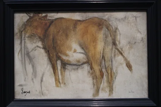 Vache