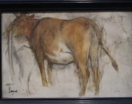 Vache