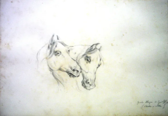 Cabeças de cavalos, Edoardo De Martino