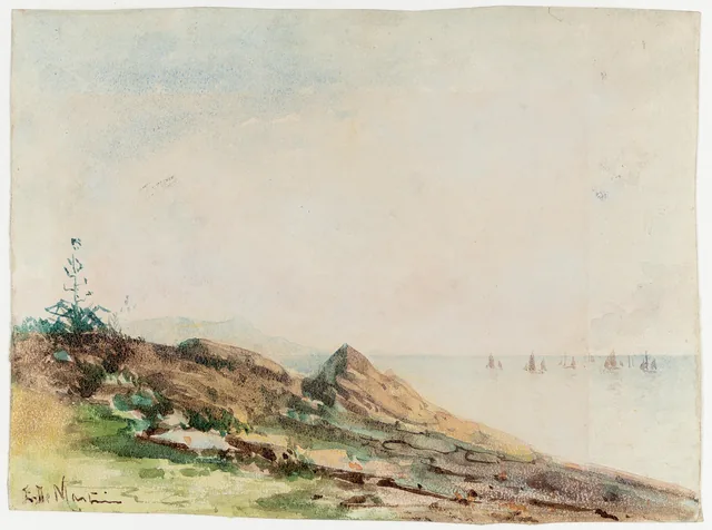 Vista