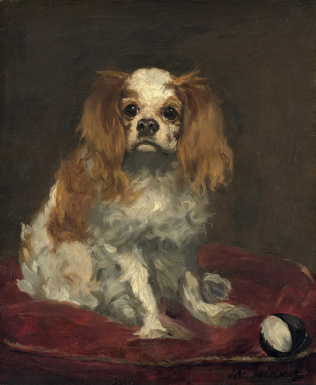 Um spaniel King Charles, Édouard Manet