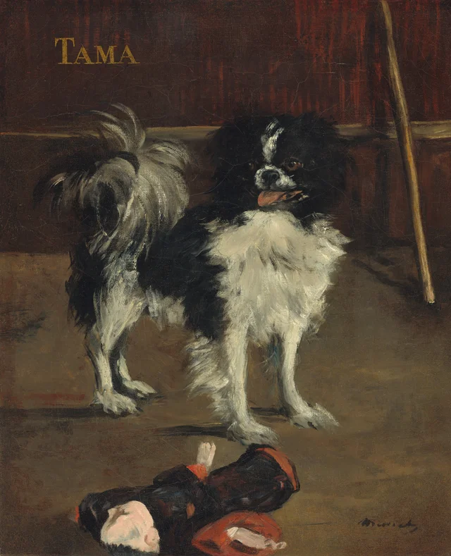 Tama, o cão japonês, Édouard Manet
