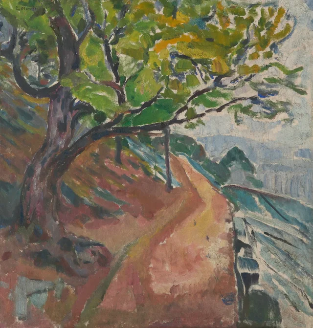 Árbol verde junto al camino