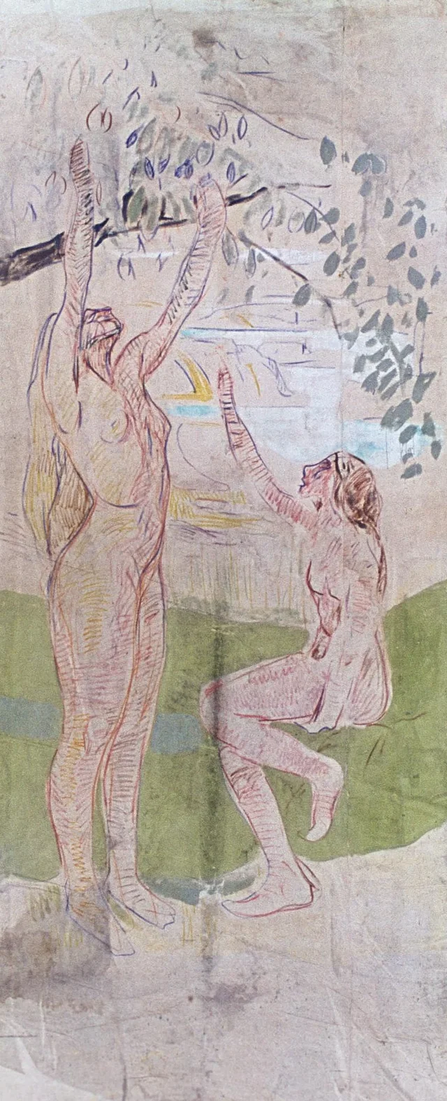 Mujeres cosechando