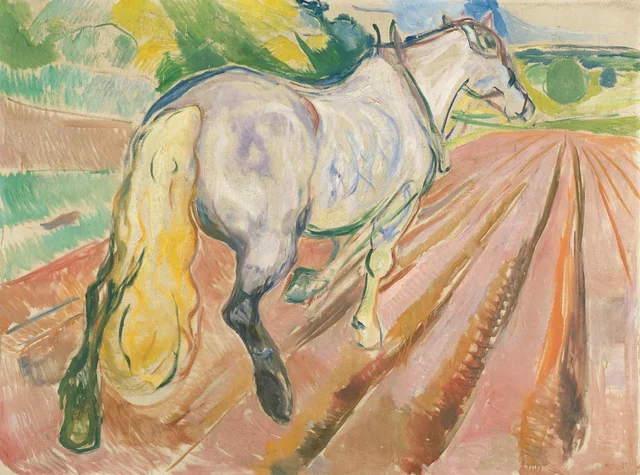 Caballo blanco visto de espaldas