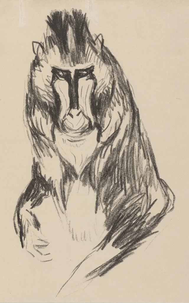 Mandril