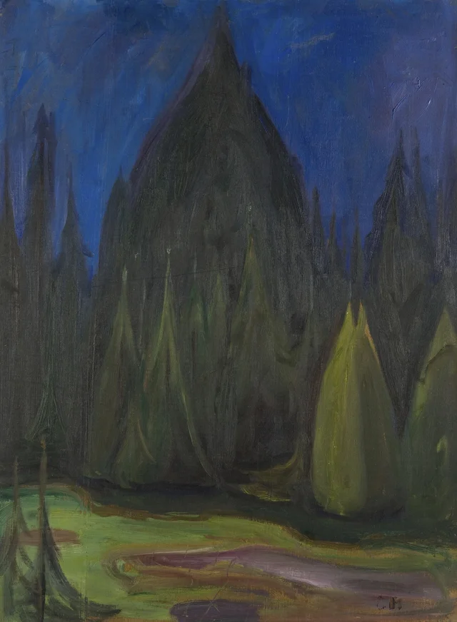 Bosque de abetos oscuro