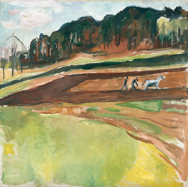 Campo arado
