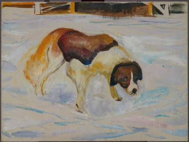 雪の中のセントバーナード犬