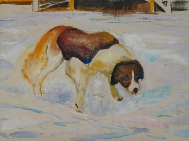Perro San Bernardo en la nieve