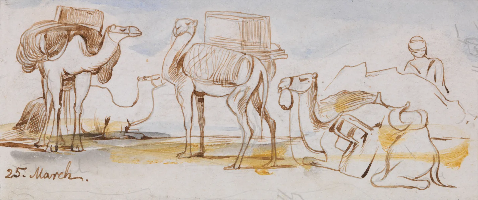 Camellos, Edward Lear