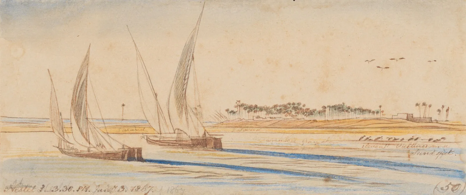 Nestet, 15:30 h, 3 de enero de 1867 (50), Edward Lear