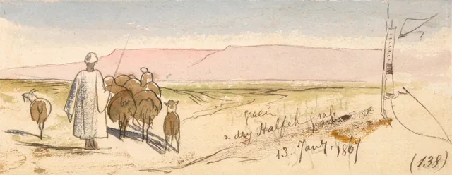 Tufo de capim halfa seco