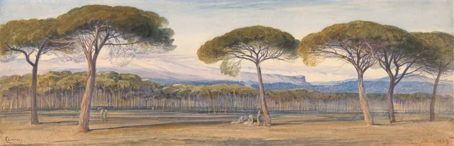 Vista dos bosques de pinheiros acima de Cannes, Edward Lear