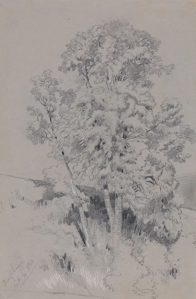 Burpham, 4 de outubro de 1834