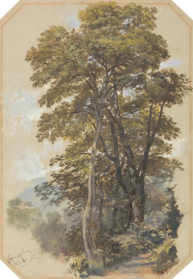 Corpo di Cava, 28 de junho de 1838