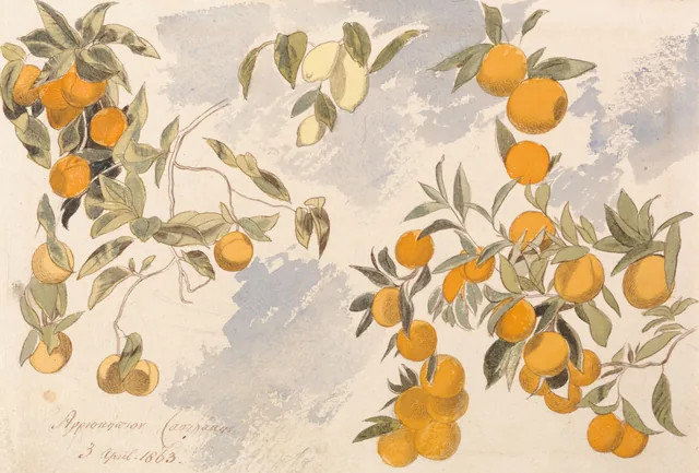 Árvores frutíferas, 3 de abril de 1863