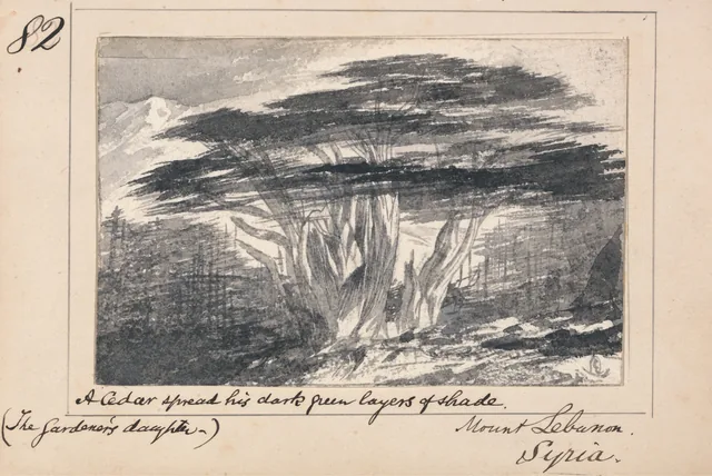 Ilustração para "The Gardener's Daughter" de Tennyson: monte Líbano, Síria - "A Cedar spread his dark green layers of shade"