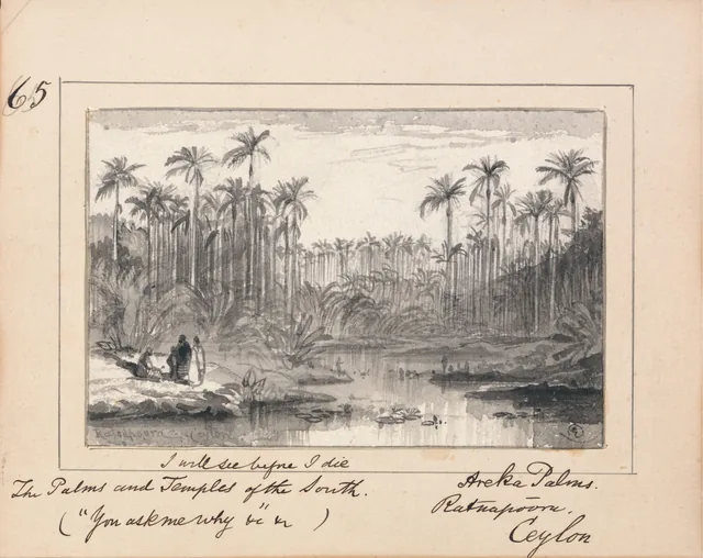 Ilustração para "You Ask Me Why" de Tennyson: palmeiras-areca, Ratnapura, Ceilão - "I will see before I die The Palms and Temples of the South"