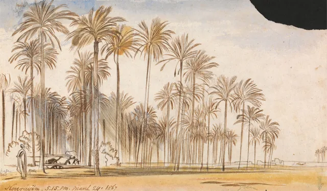 Kourayim