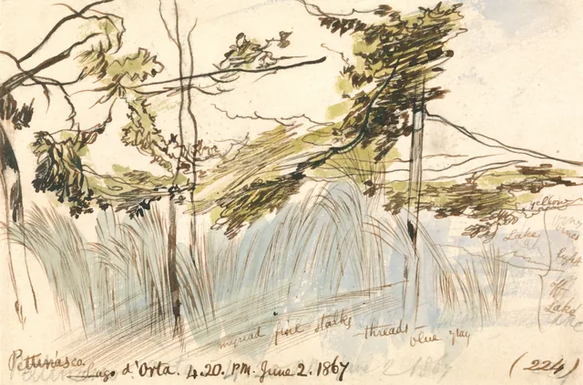 Pettenasco, Lago d'Orta, 16h20, 2 de junho de 1867 (224)