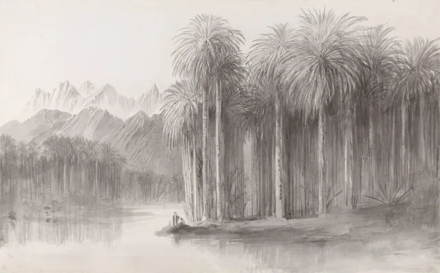 Wadi Feiran, península do Sinai, Edward Lear