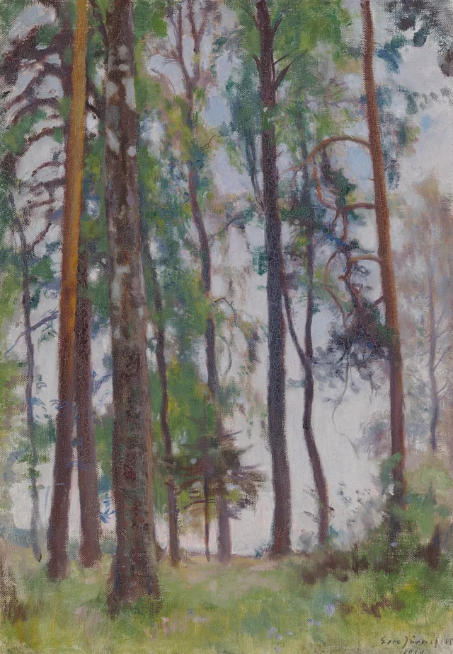 Pinos