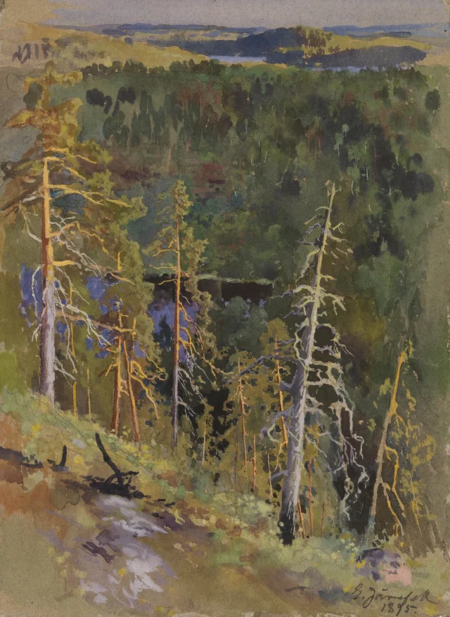 Paisaje de bosque, Eero Järnefelt