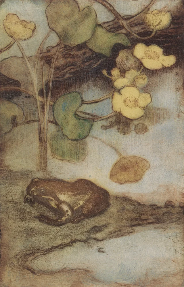 Calta y rana, Eero Järnefelt