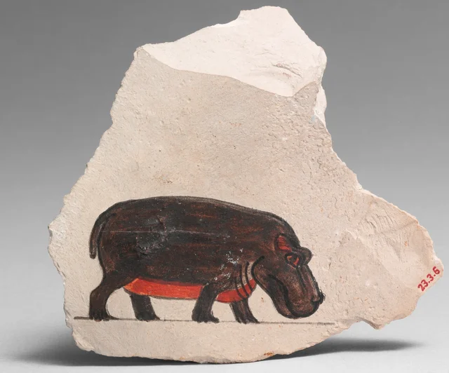Artist's Painting of a Hippopotamus