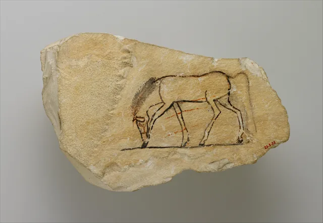 Esquisse d'un cheval