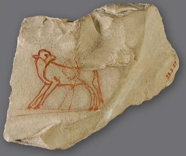 Ostracon avec l'esquisse d'un veau