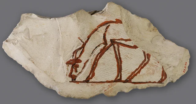 Ostracon with sketch of a grazing antelope, Ancient Egypt