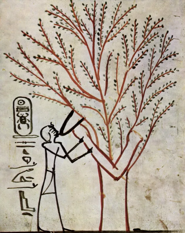 Thutmose III suckled by Isis in the form of a tree