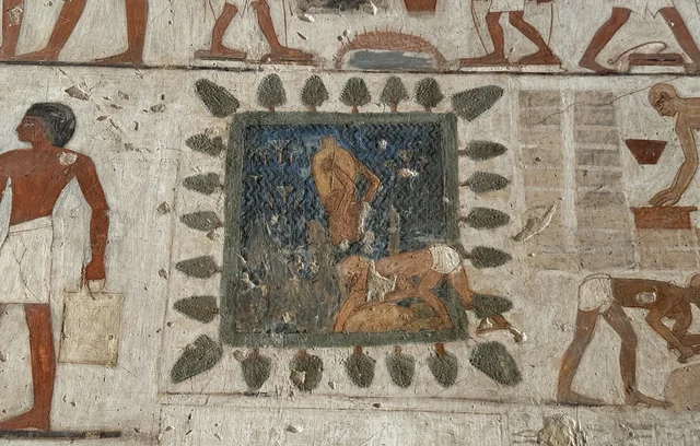 The garden pool