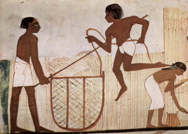 Travaux des champs, Égypte ancienne