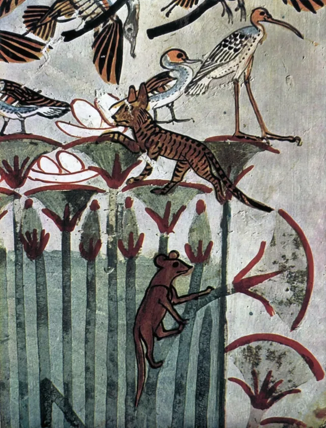 Animaux et oiseaux dans le fourré de papyrus