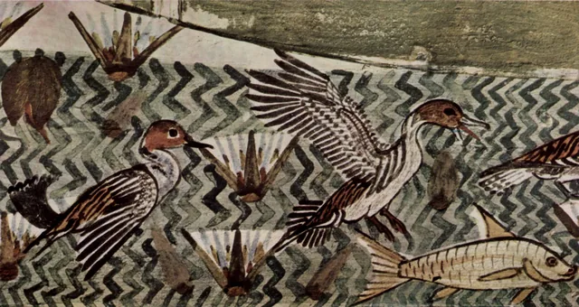 Oiseaux et poisson dans l'eau du marais