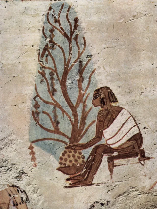 Paysan assis sous un arbre